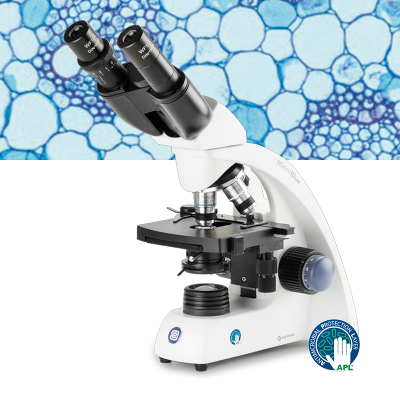 euromex MB.1052 Binoküler Öğrenci Mikroskobu Biyoloji Mikroskobu