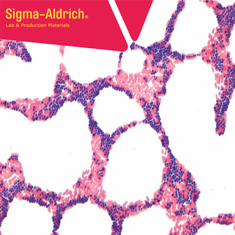 Merck 111885 Gram Boyası Seti, Gram-Color Stain set for the Gram staining method 5 x 500 mL