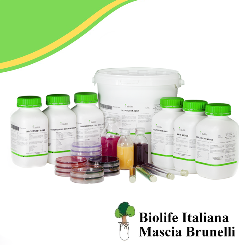 Biolife Italiana 4011532 Microbiology BCSA BURKHOLDERIA CEPACIA SELECTIVE AGAR BASE 500 g