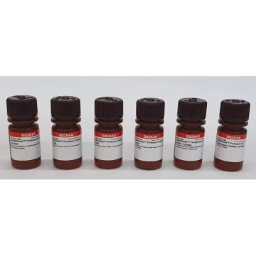 Sigma-Aldrich PPC202 ReadyShield® Protease and Phosphatase Inhibitor Cocktail non-freezing solution 5 mL