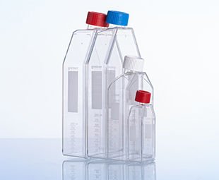 greiner BIO-ONE 660975 Hücre Kültürü Şişesi, 550 ml, 175 cm², PS, ADVANCED TC,  Mavi Filtre Vida Kapaklı, Düz Şişe Tasarımı, Şeffaf, Steril 50 Adet / Paket