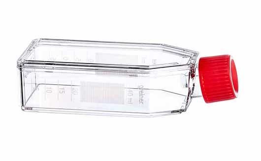 greiner BIO-ONE 690175 Hücre Kültürü Şişesi, 50 ml, 25 cm², PS, Kırmızı Filtre Vida Kapaklı,  Şeffaf, CELLSTAR®, TC, Steril 200 Adet / Koli