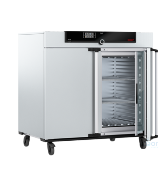 Memmert IN450 Plus İnkübatör  +5 °C / +80 °C