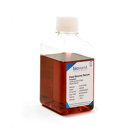 biowest S181B Fetal Bovine Serum (South America). Premium 500 mL