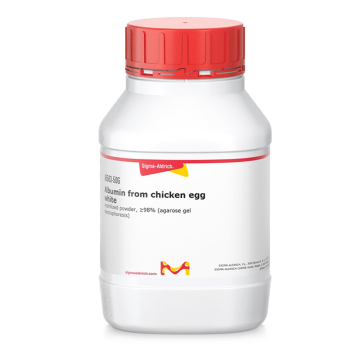 Sigma-Aldrich A5503 Albumin from chicken egg white lyophilized powder, ≥98% (agarose gel electrophoresis) CAS No.: 9006-59-1 1 gr