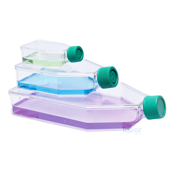 ISOLAB ŞİŞE Steril Hücre Kültürü İçin  25 cm2, delikli kapak 1 koli